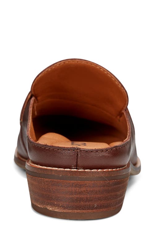 Earth ® Everett Tassle Mule In Brown