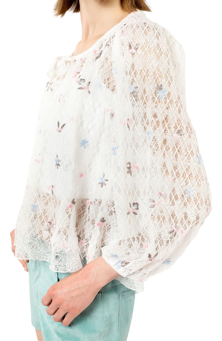 Anna Sui Embroidered Lacey Trellis Blouse, Alternate, color, White Multi