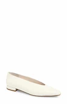 Hinted Pointed Toe Flat