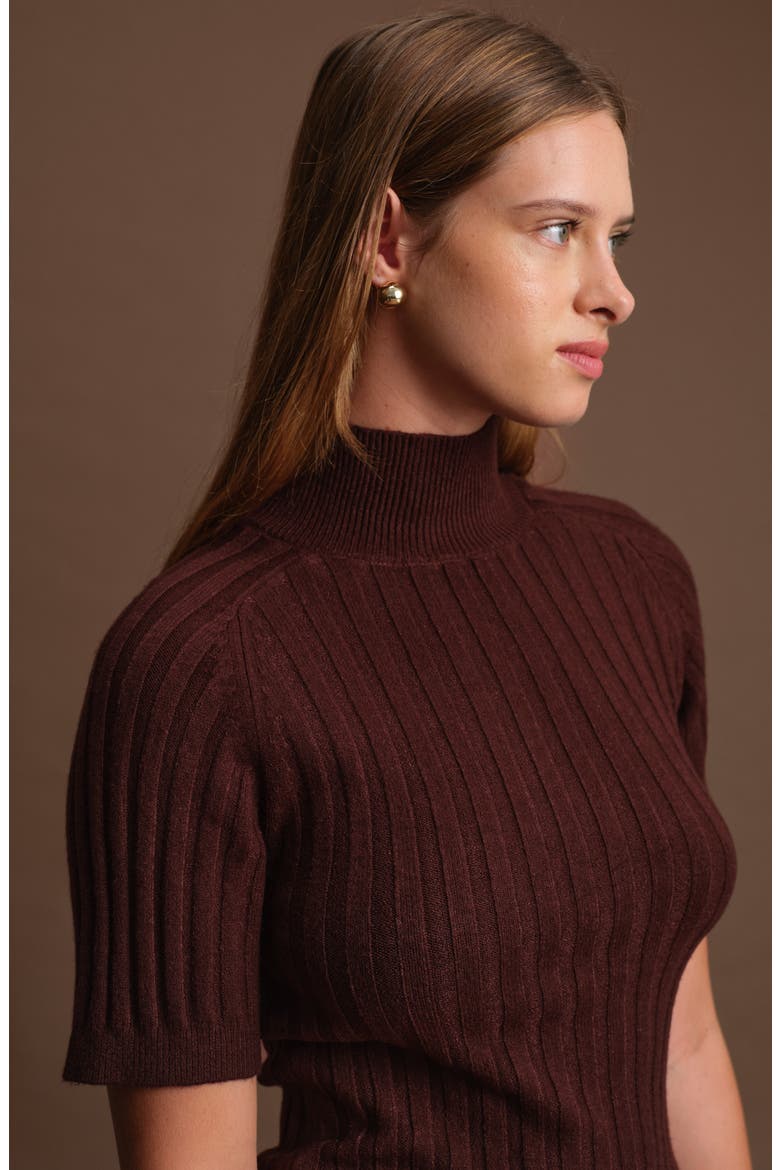 Oliver Rib Turtleneck Sweater, Alternate, color, CACAO