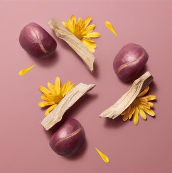 The Hermèsistible - Infused Lip Care Oil