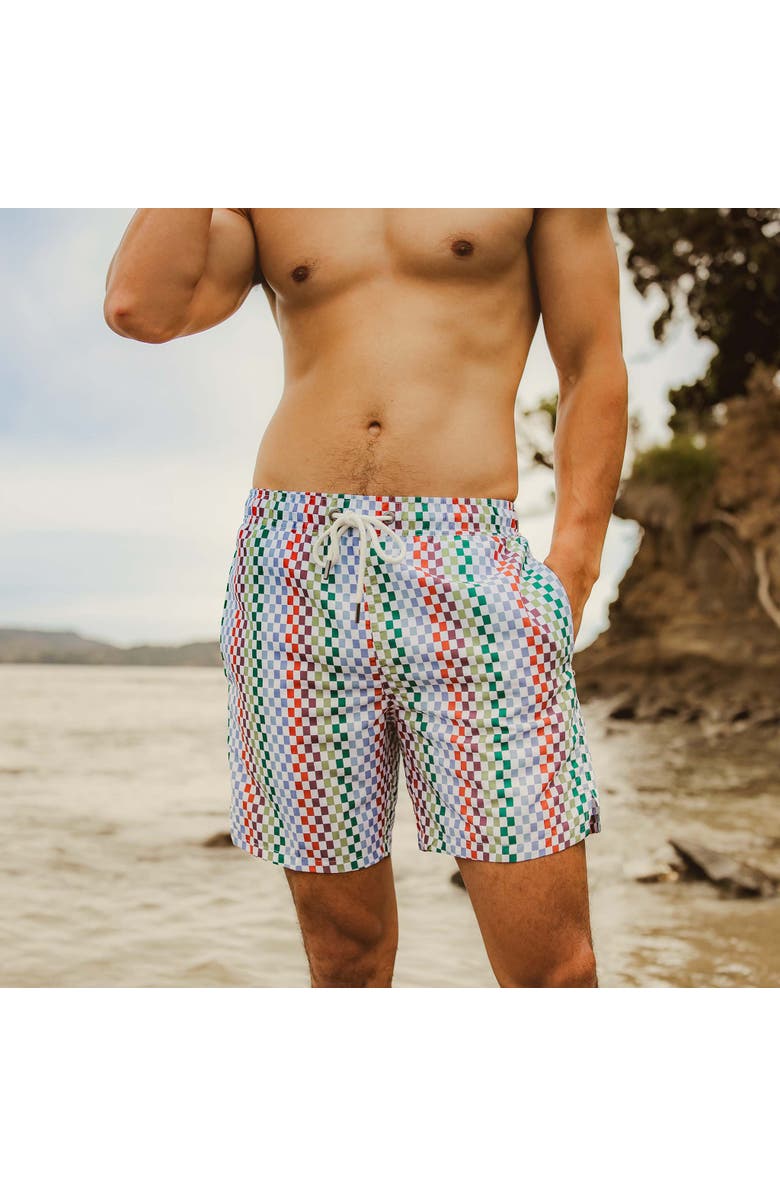 Snapper Rock 4 Way Stretch Swim Short, Alternate, color, Block Party
