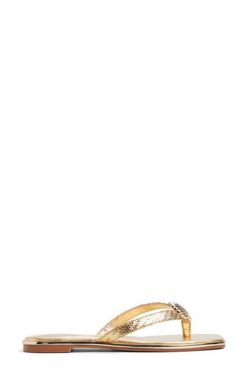 Aldo Conchiglia Flip Flop In Gold