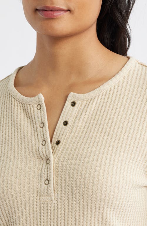 City Blues Thermal Knit Henley In Brown