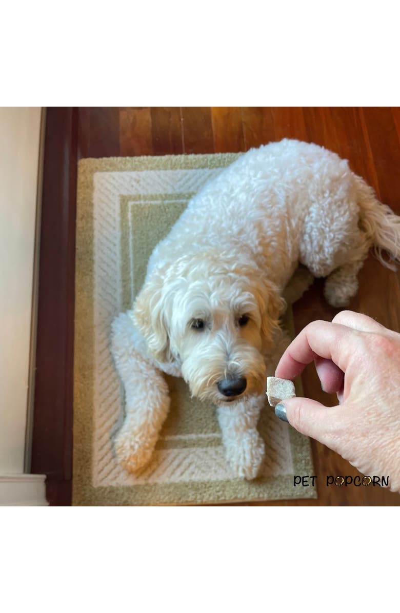 Pet Popcorn Freeze Dried Raw Treats, Chicken Breast, 2.5oz Bag, Pet Snacks, Alternate, color, Multicolored