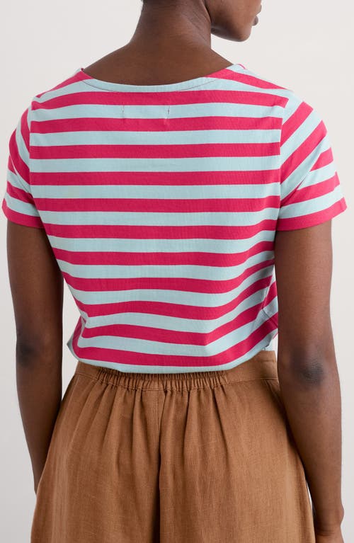 Seasalt Cornwall Sailor Stripe Organic Cotton T-shirt In Scallion Raspberry