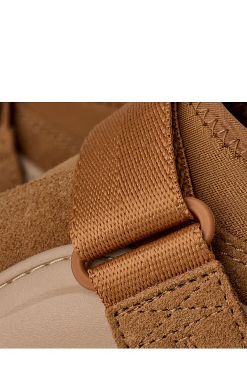 Ugg(r) Peakmod Lowcut Slip-on Shoe In Brown