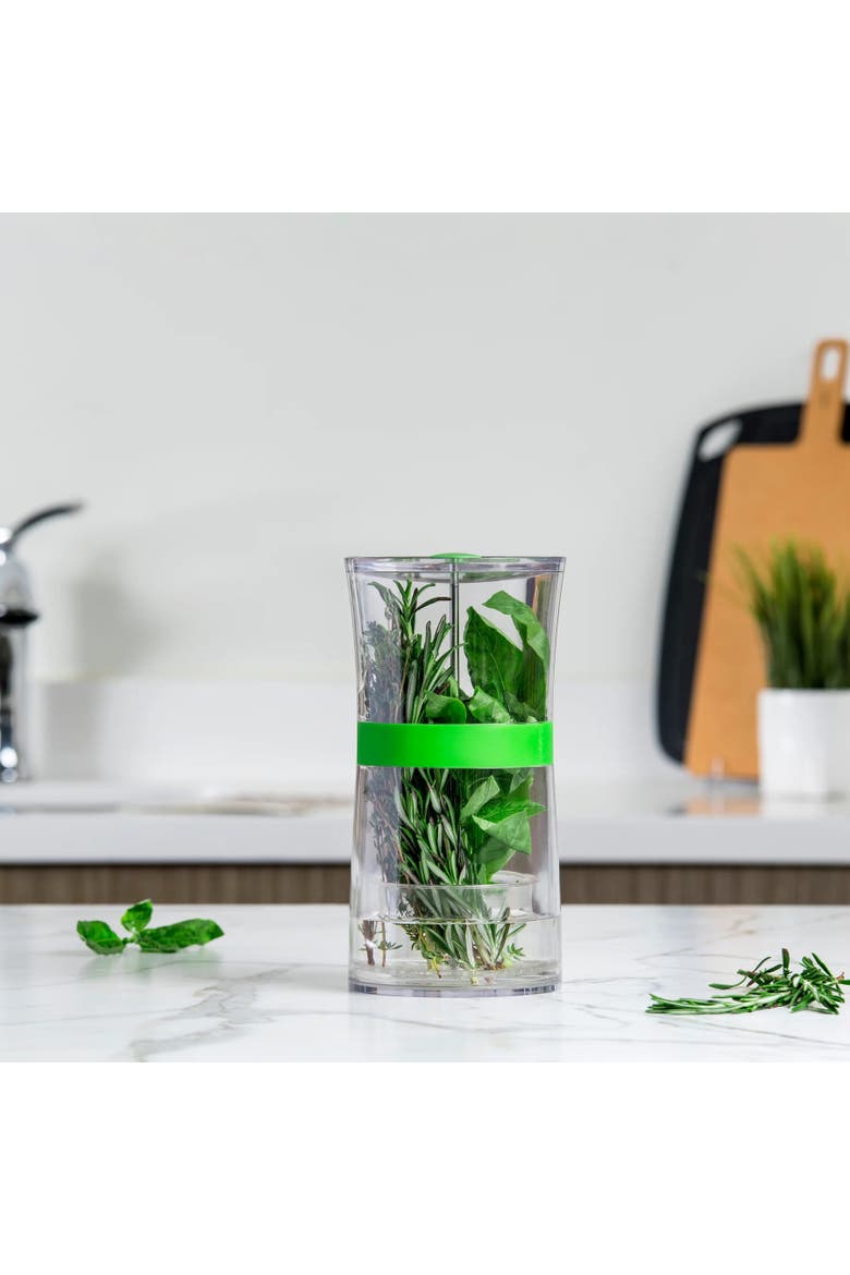 Original Herb Keeper Keeps Herbs Fresh Storage Container, Alternate, color, Green