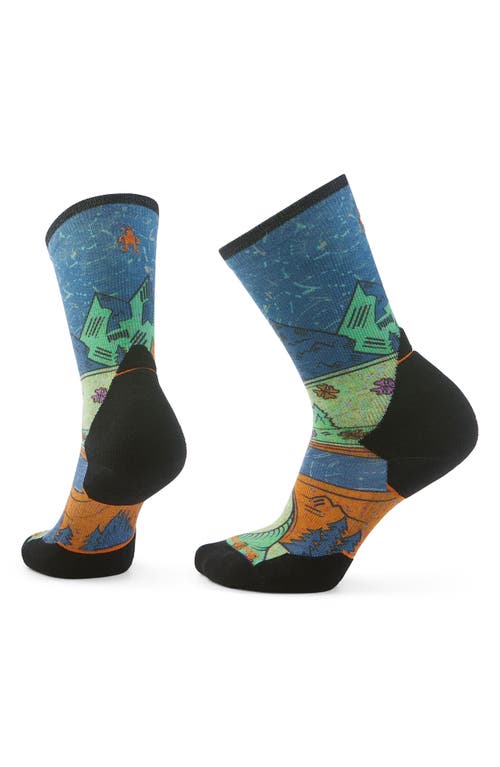 Smartwool Trail Run Targeted Cushion Crew Socks