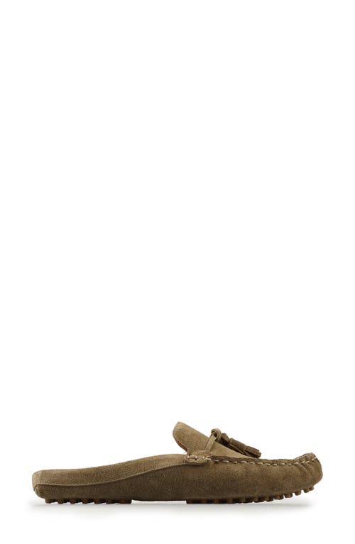 National Comfort Tal Tassel Mule In Taupe Suede
