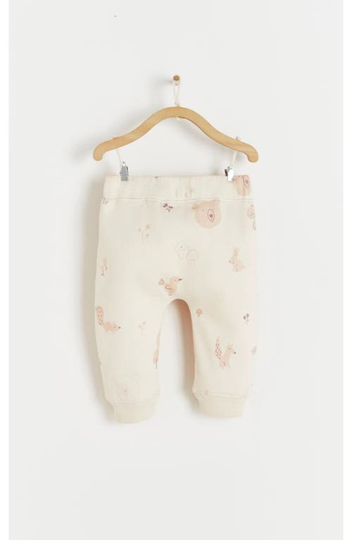 Babycottons Tree Printed Jogger In Multicolor