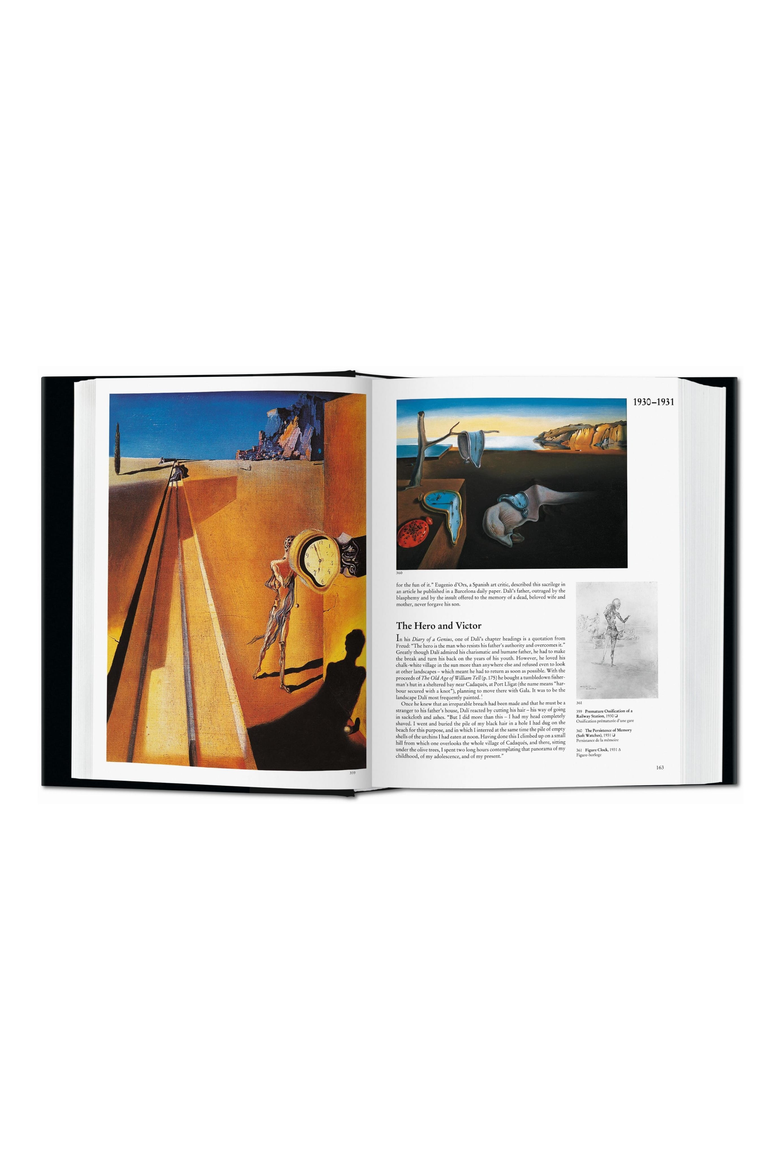 Dalí The Paintings Book, Alternate, color, Black