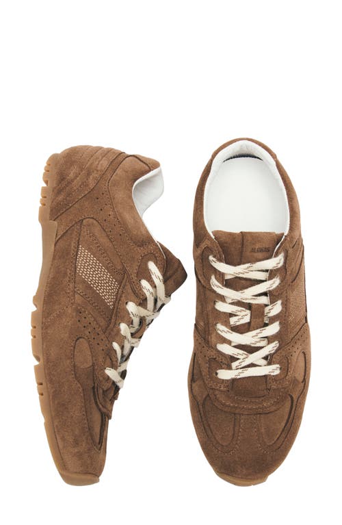 Alohas Tb.56 Suede Cream Leather Sneakers In Brown