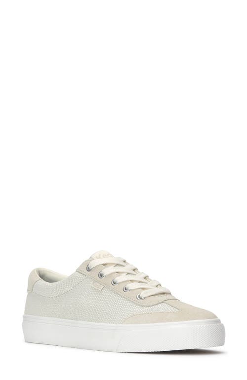 Keds ® Jump Kick T-toe Sneaker In Brown