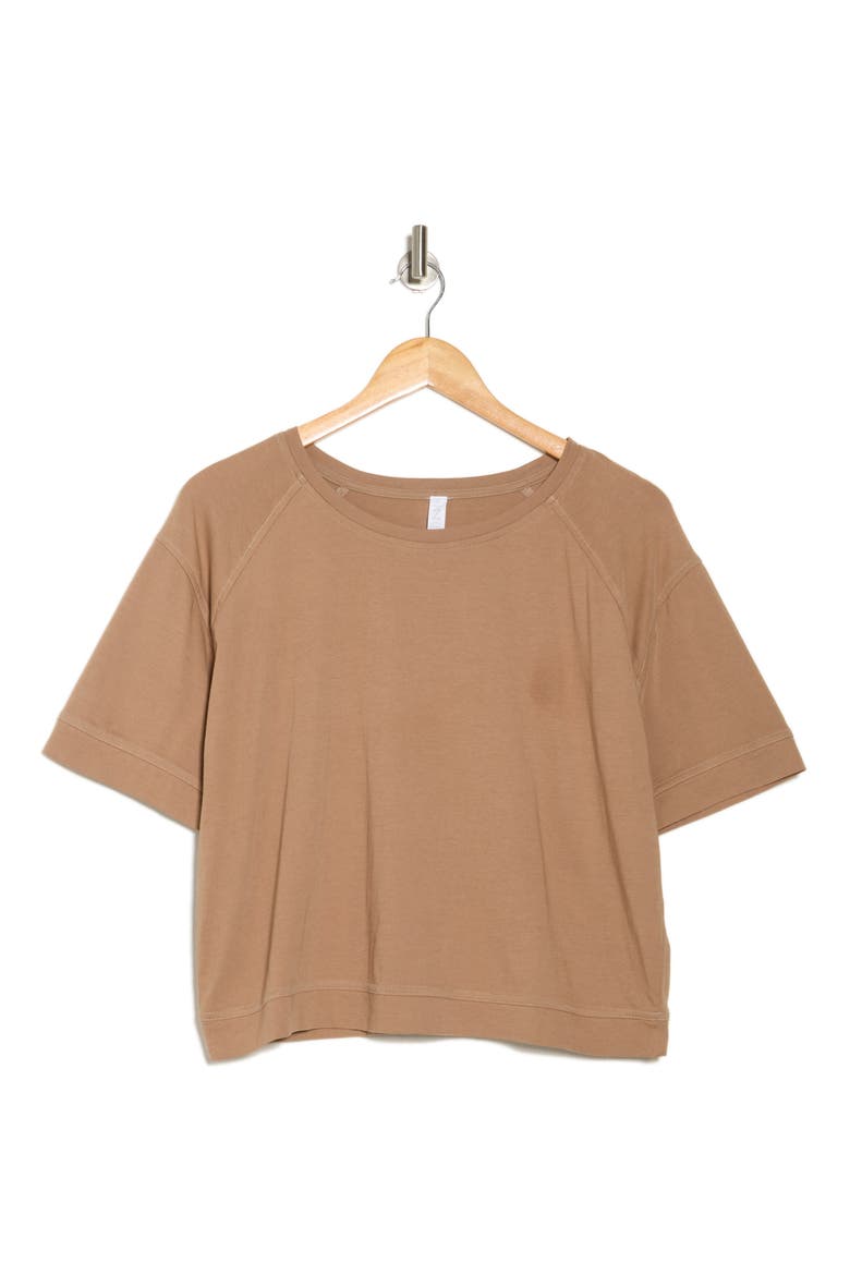 Vintage Wash Boxy Tee, Alternate, color, TAN PORTABELLA