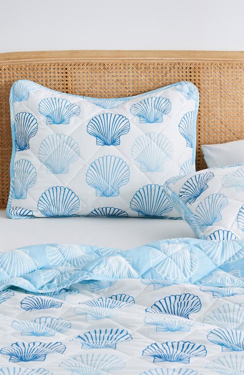 Woven & Weft Blue Seashells Reversible Microfiber Quilt Set