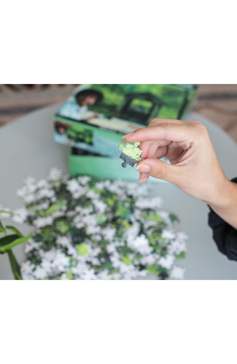 Toynk Bob Ross Covered Bridge Nature Puzzle | 1000 Piece Jigsaw Puzzle, Alternate, color, Green