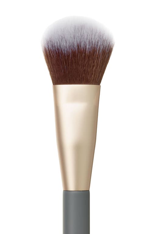 Jane Iredale Cheek Brush In No Color