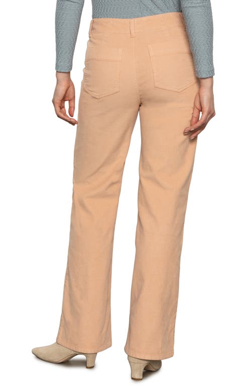 Sanctuary Marine Patch Pocket Stretch Cotton Corduroy Pants In Brown