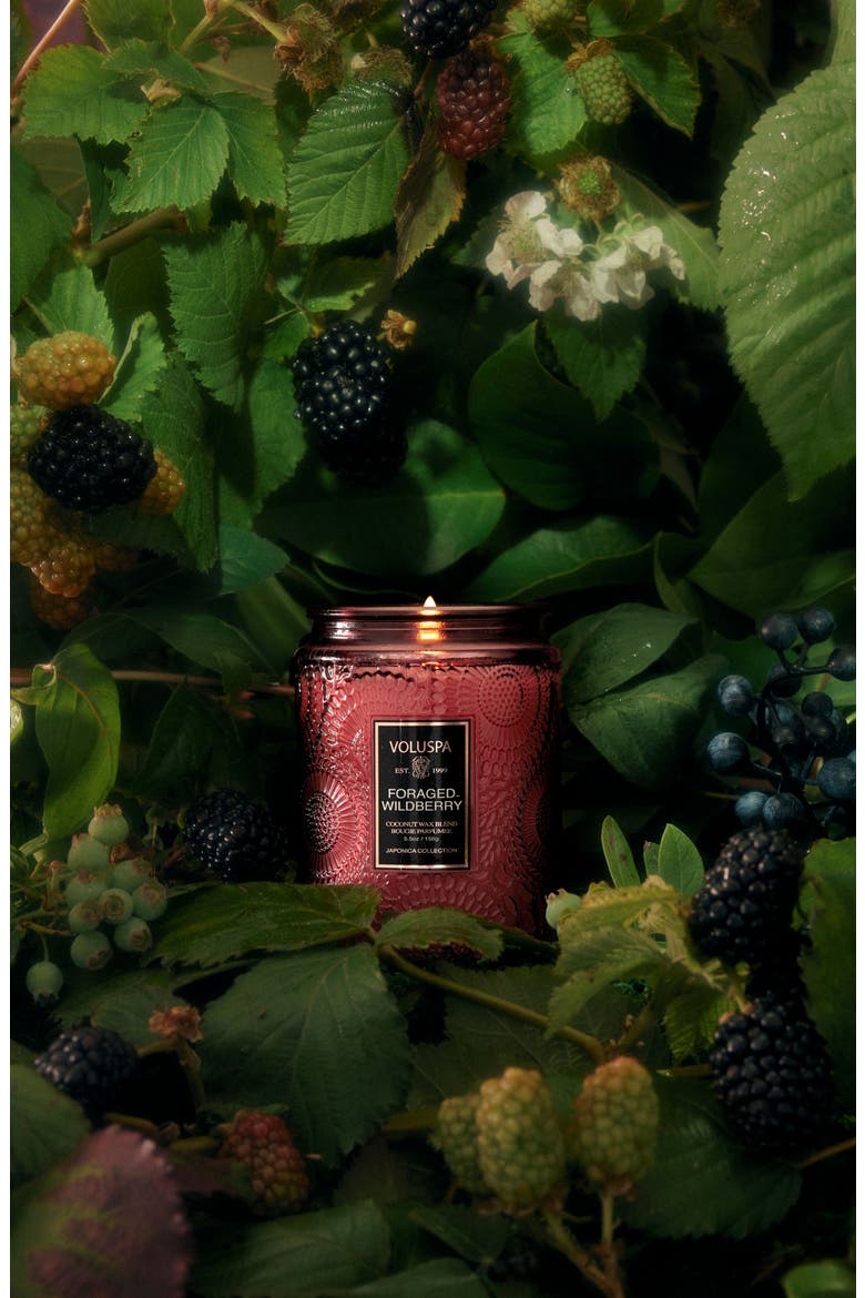 Foraged Wildberry Small Jar Candle, Alternate, color, FORAGED WILDBERRY