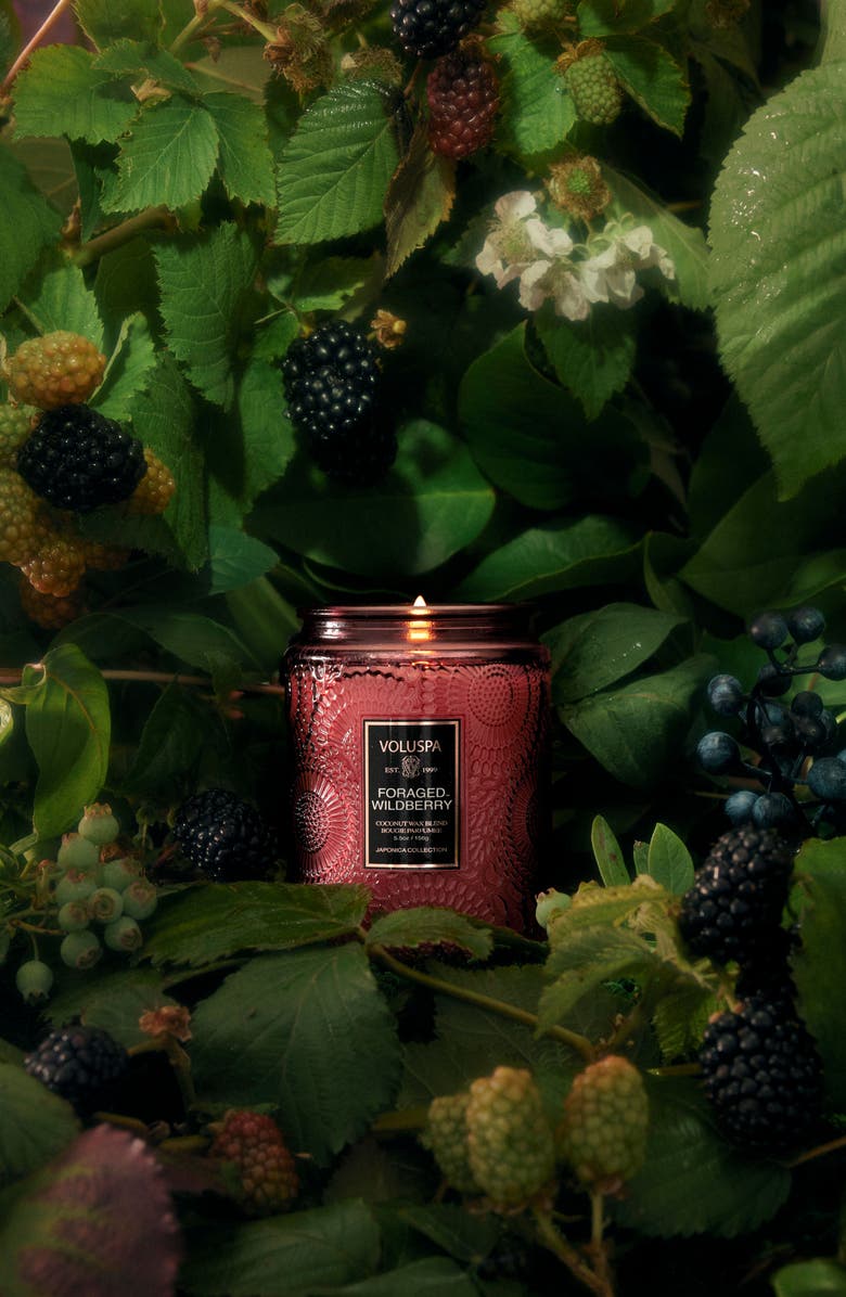 Voluspa Foraged Wildberry Small Jar Candle, Alternate, color, Foraged Wildberry