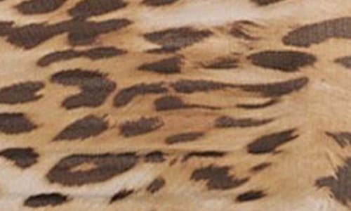 Guess Asymmetric Shirred Mesh Top In Leopard