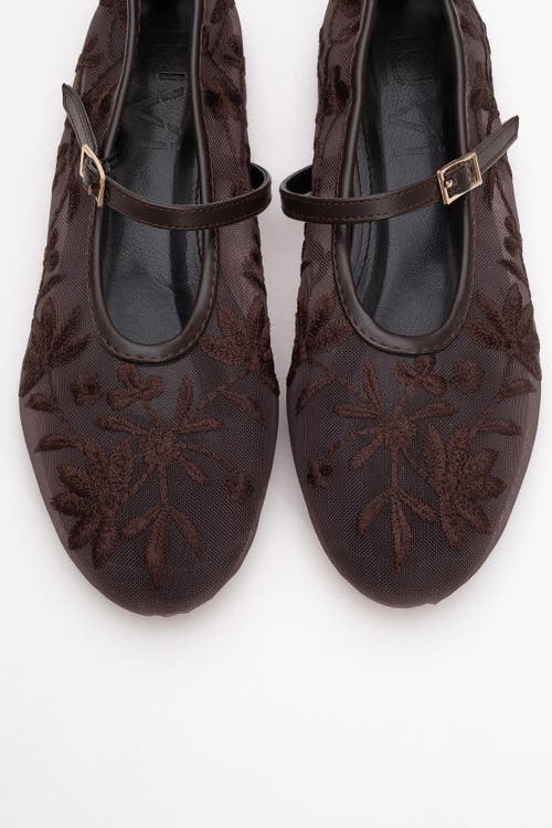 Prologue Shoes Juny Mesh Floral Embroidery Ballet Flat In Brown