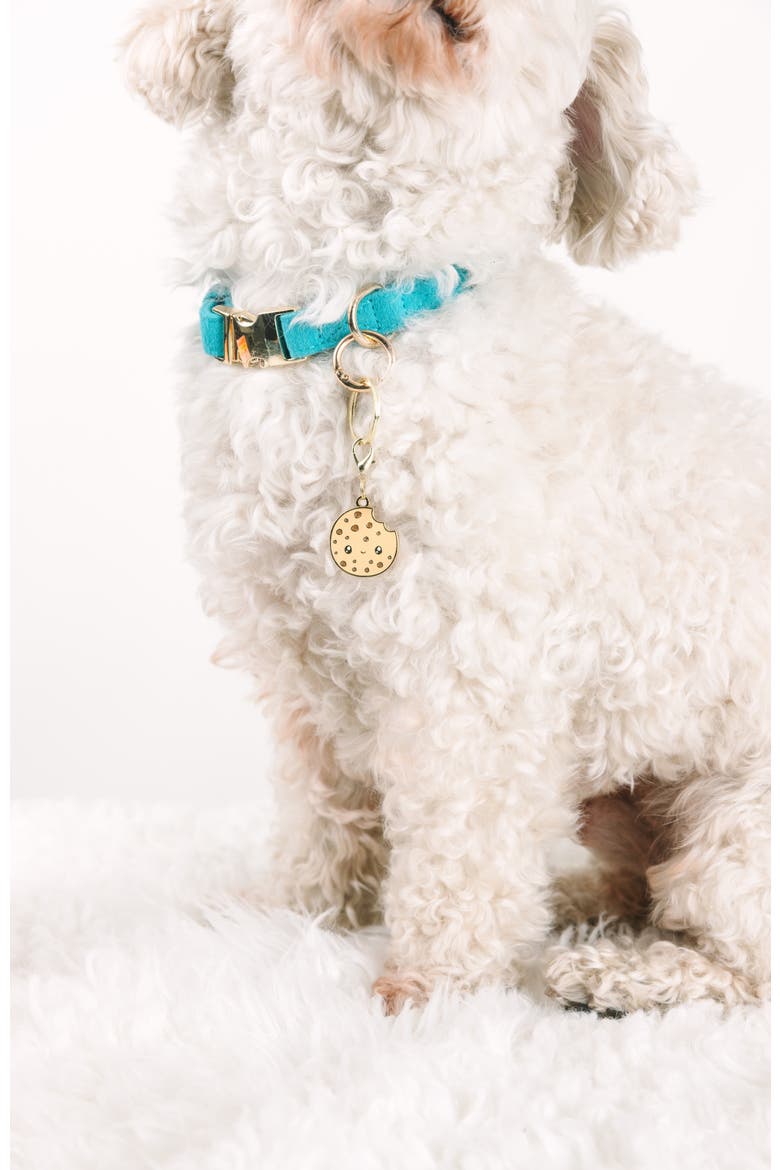 Cookie Pet Collar Charm, Alternate, color, Cookie