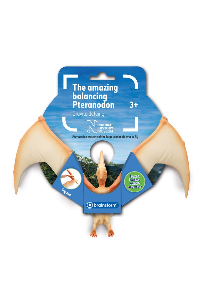 Brainstorm Toys Natural History Museum The Amazing Balancing Pteranodon Gravity Defying, Main, color, Multicolored