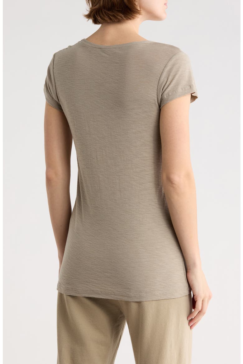Deep V-Neck T-Shirt, Alternate, color, OVERCAST