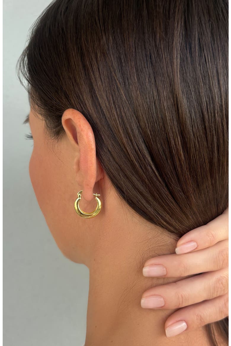 Set of 2 14K Gold Plated Hoop Earrings, Alternate, color, GOLD