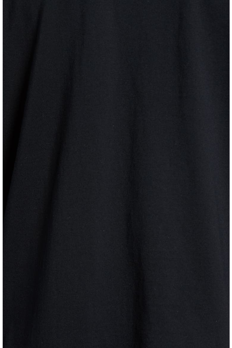 Long Sleeve Henley T-Shirt, Alternate, color, BLACK