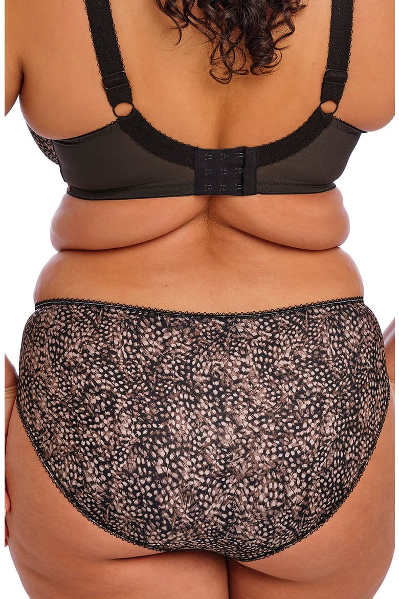 Morgan Full Figure Briefs, Alternate, color, EBONY