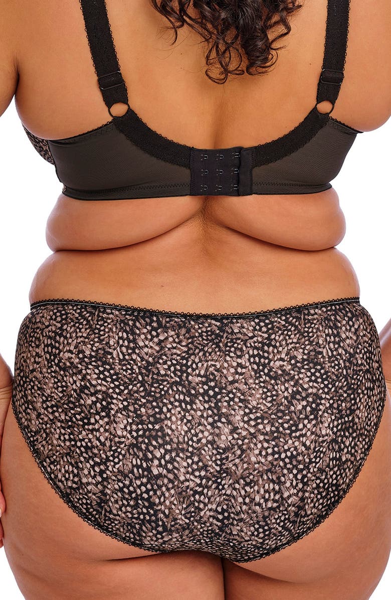Elomi Morgan Full Figure Briefs, Alternate, color, Ebony