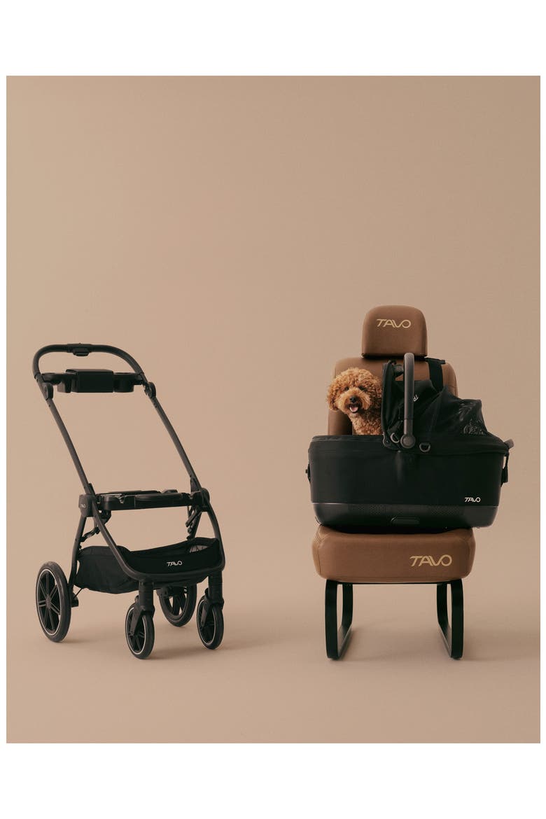 Maeve™ + Roscoe™ 3-In-1 Pet Travel System, Alternate, color, FAWN