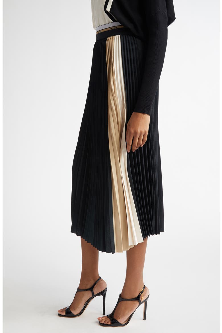 Iris Pleat Maxi Skirt, Alternate, color, BLACK