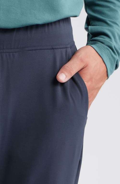 Free Fly High Mile Stretch Nylon Joggers In Blue