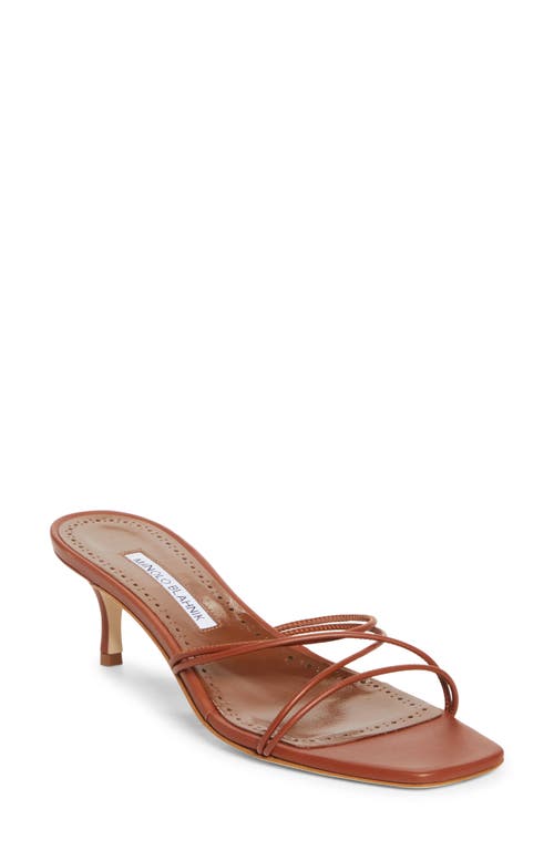 Manolo Blahnik Ninefemu Strappy Kitten Heel Slide Sandal