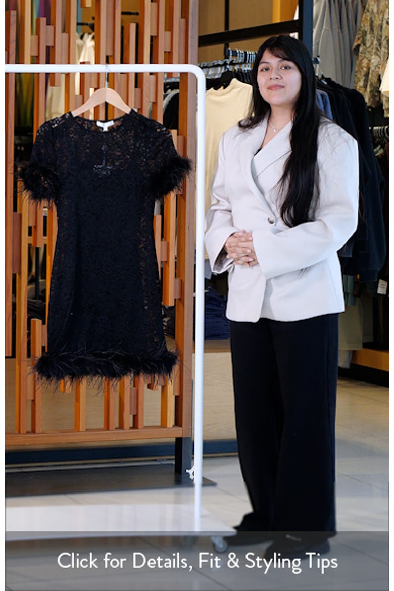 Alina Feather Lace Minidress video
