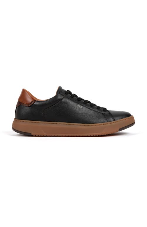 Anthony Veer Men's Paul Sneaker In Black