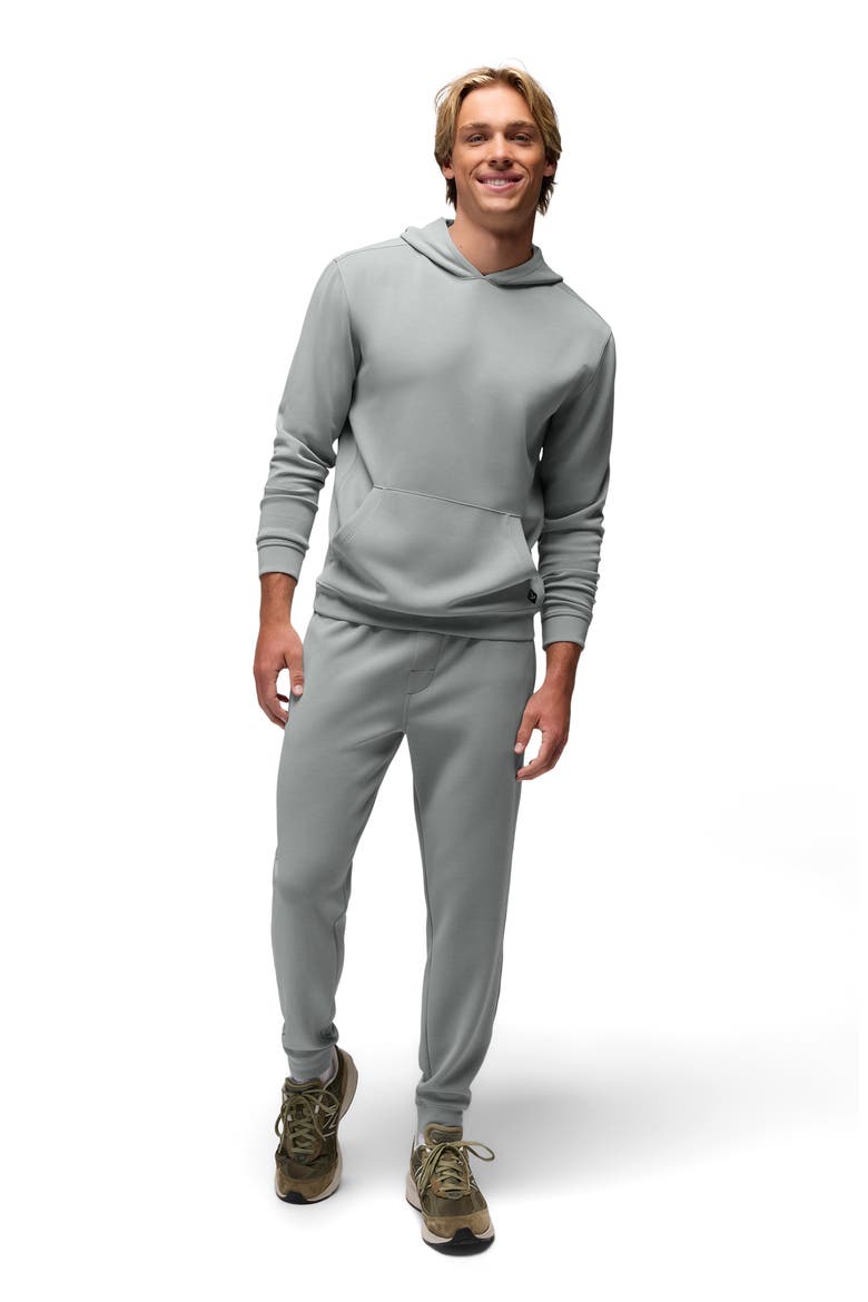 Shea Soft Hoodie, Alternate, color, STERLING