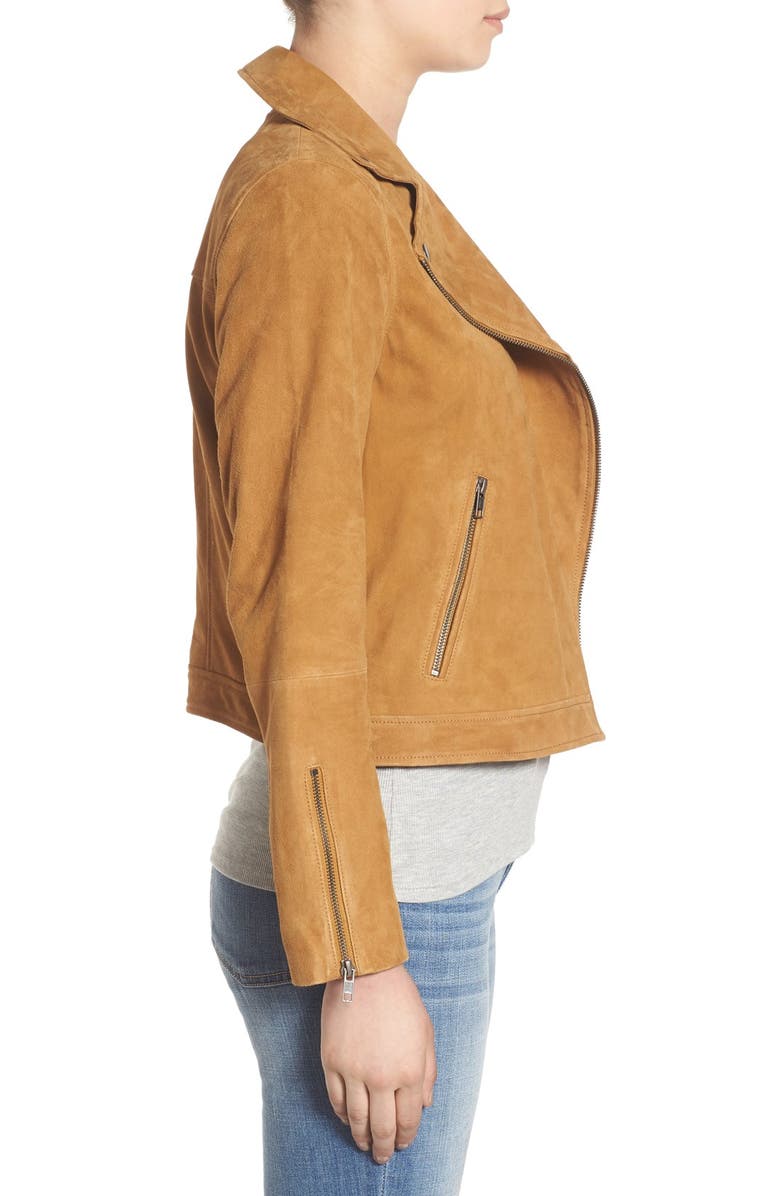 Sun & Shadow Suede Crop Moto Jacket, Alternate, color,