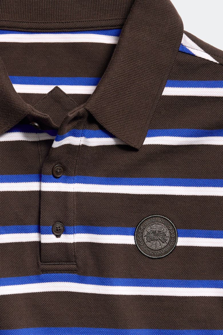 Beckley Striped Polo Tonal Disc, Alternate, color, Terra Moncton Stripe