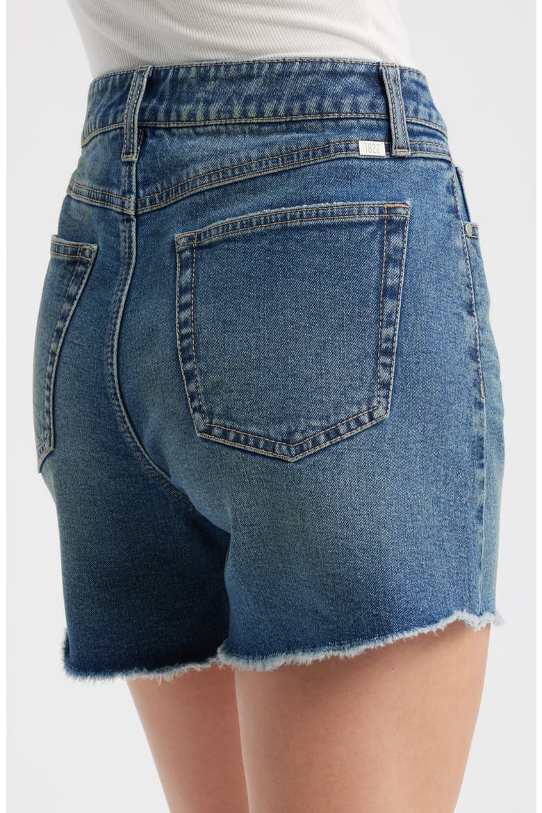 Frayed High Waist Mid Thigh Relaxed Denim Shorts, Alternate, color, WILLA