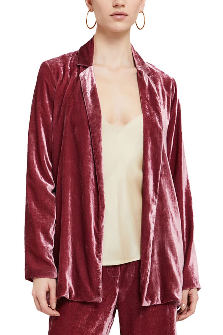 Velvet Blazer, Main, color, Pink