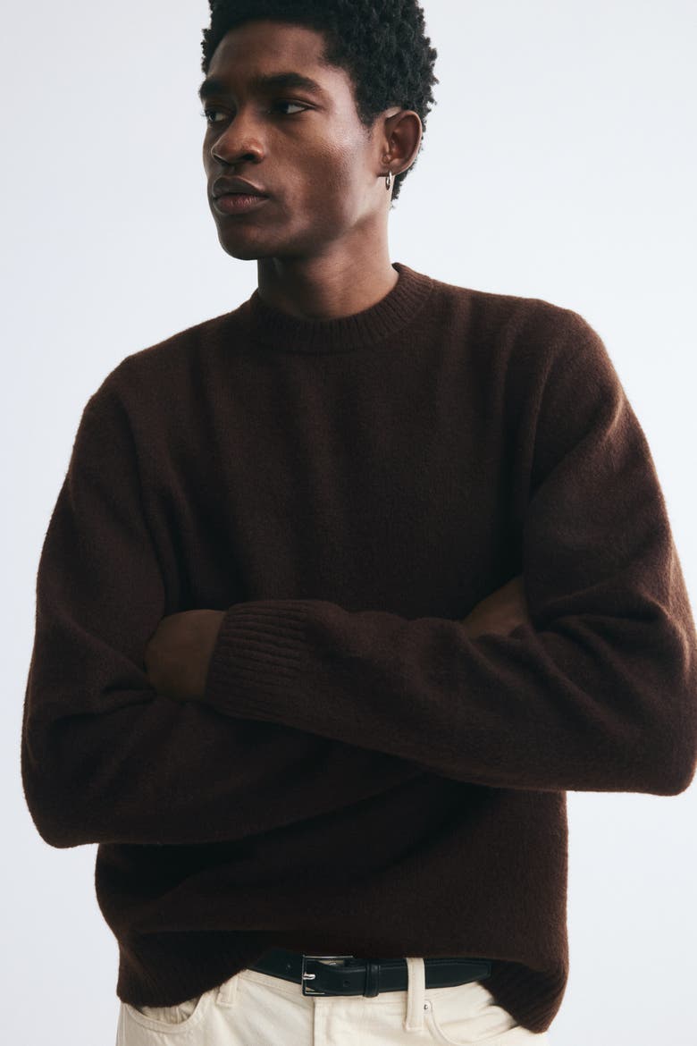 Regular-fit Brushed Sweater, Alternate, color, Dark brown