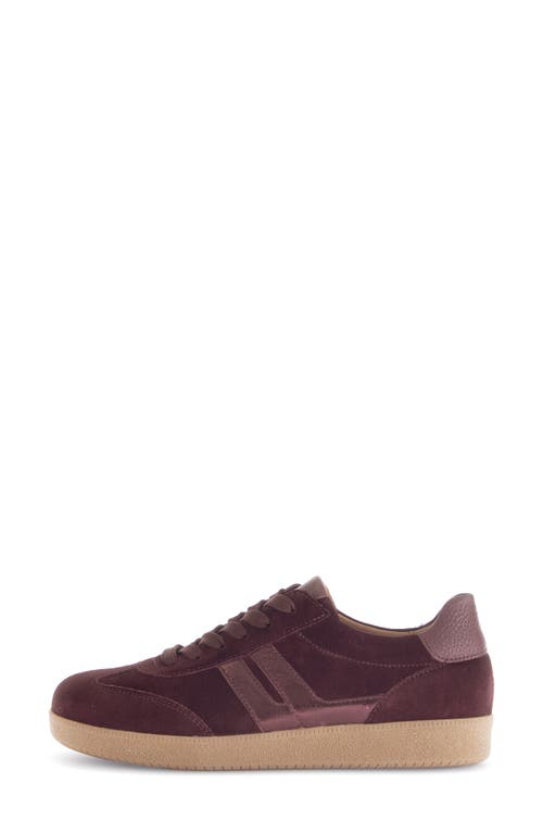 Gabor Stripe Low Top Sneaker In Burgundy