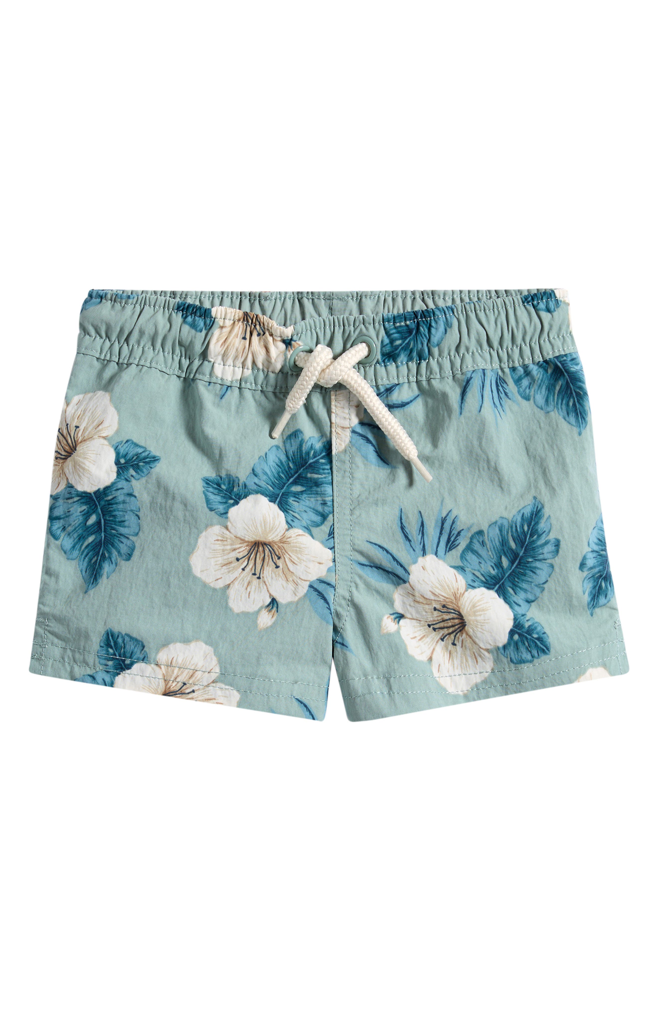 selected HIBISCUS