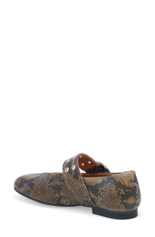 Miz Mooz Zephyr Flat