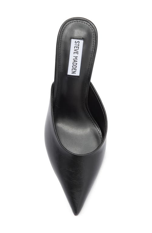 STEVE MADDEN STEVE MADDEN EMMIE POINTED TOE MULE